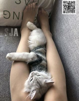 国产清纯初高中害羞小美女_国产剧免费在线播放