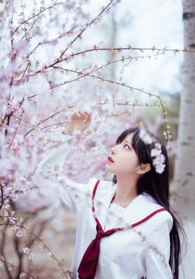 人猿泰山成年人版的